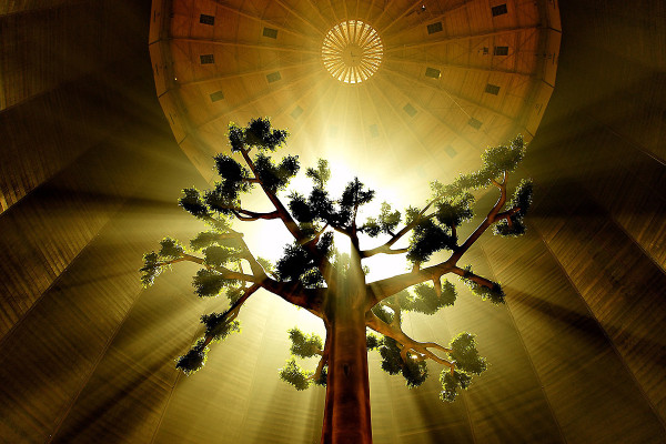 Baumskulptur im 100 Meter hohen Luftraum des Gasometers