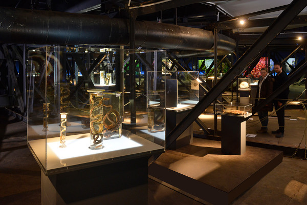 Ausstellungsvitrinen und Schaukästen auf der zweiten Ausstellungsebene